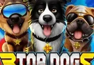 3 Top Dogs screenshot